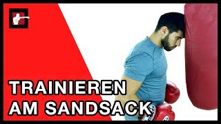 Sandsack Training  Boxen lernen für Anfänger am Sandsack [upl. by Cox]