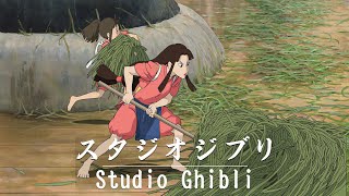 Studio Ghibli Music Relaxing Harp Hayao Miyazaki Collection🍅Inspirational Ghibli Piano Music [upl. by Scheld]