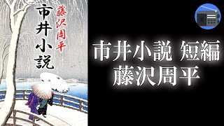 【朗読】「市井小説 短編」あの人は、まだ私を忘れていない―。過ぎた時は、もう取り戻すことが出来ない！【時代小説・歴史小説／藤沢周平】 [upl. by Allyce]