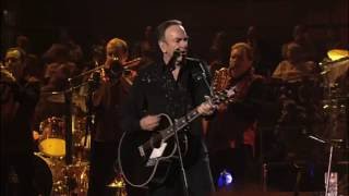 NEIL DIAMOND  HOT AUGUST NIGHT LIVE2008 [upl. by Gader]