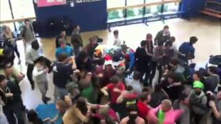 Farragut High School Harlem Shake [upl. by Akina]