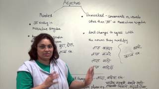 Hindi Grammar Adjectives explained [upl. by Nomed]