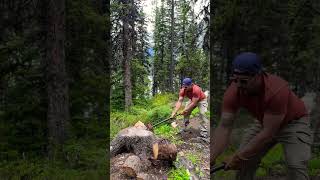 Chopping wood with the communal axe choppingwood chopwood woodchopping woodchop [upl. by Eatnhoj]