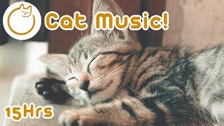 15 horas de música relaxante para gatos  Acalme meu gato [upl. by Atirahs]