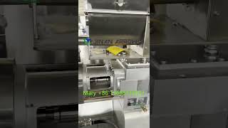 Breakfast froot loops cereal snacks CHEERIOS cereals food extruder machinery line [upl. by Navillus671]