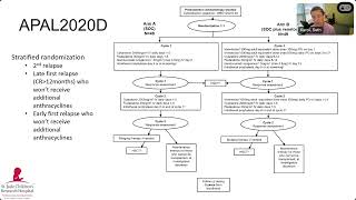 074 Novel venetoclax combinations for relapsed pediatric leukemial [upl. by Hussey608]