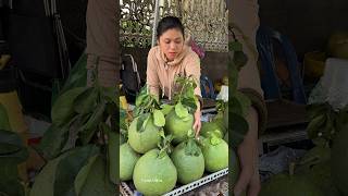 Amazing Giant Orange Vietnamese Lady Selling Pink Pomelo  Fruit Cutting Skills [upl. by Nylodnewg964]