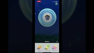 Shiny Illumise caught in pokemongo [upl. by Severson]