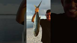 Xaréu BRUTO  PESCARIA BARRA NOVA Maceió Alagoas 15 de julho 2024 pescaria pesca fishing [upl. by Llertnod38]