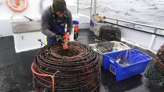 CRAYFISHING ON THE WESTCOAST OF TASMANIA GOOD FOOTAGE [upl. by Asilanna]