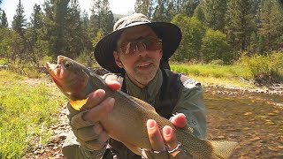 Fly Fishing the Upper West Fork Bitterroot River Montana [upl. by Chappell633]