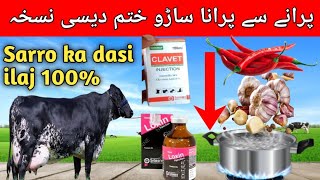 mastitis treatment in cow  saro ka dasi ilaj [upl. by Helenka]