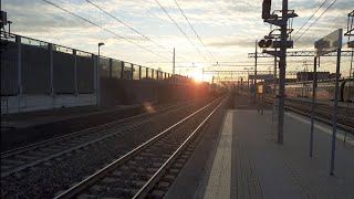 Stazione di PioltelloLimito transiti di treni con un bellissimo tramontoBuona visione [upl. by Nairdna]