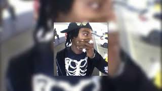 FlatBed Freestyle sped up  Playboi Carti [upl. by Anelam]