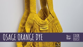 HOW TO MAKE NATURAL DYE WITH OSAGE ORANGE  ORGANIC COLOR  YELLOW GOLD GREEN BROWN  IRON WATER [upl. by Nya]