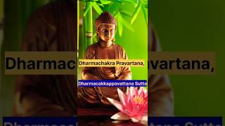 Dharmachakra Pravartanaधर्मचक्र प्रवर्तनDharmacakkappavattana Suttaधर्मचक्कप्पवत्तन सुत्त facts [upl. by Varipapa]