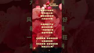 2025蛇年 新年必聽的經典賀歲歌曲  2025新年歌  傳統流行新年歌  Old CNY Songs  謝采妘  Michelle Hsieh  富貴花開迎新年 [upl. by Issi408]