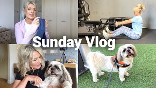 LuluLemon Dupes amp Fantastic News SUNDAY VLOG [upl. by Reichert]