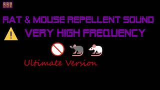 ⚠️Ultimate Version 🚫🐀🐁 Rat amp Mouse Repellent Sound Very High Frequency 3 Hour [upl. by Ryley]