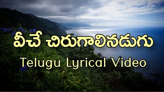 Veeche Chirugalinadugu Telugu Lyrics  Naalo unna prema  Sirivennela  Koti  Chitra [upl. by Audwen]