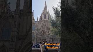 Cathedral of Barcelona Spain 🇪🇸 shorts shortfeeds [upl. by Cele]