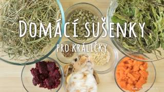 Domácí sušenky pro králíčky  recept [upl. by Terrej]