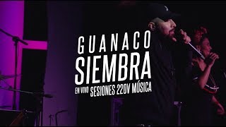 Guanaco  Siembra  Sesiones 220V Música [upl. by Windham]