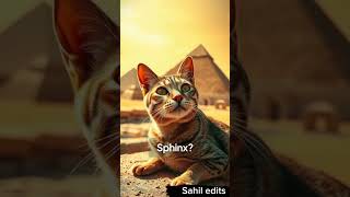 Interesting facts about ancient and their pets 🤔 youtubeshorts facts [upl. by Heimlich371]