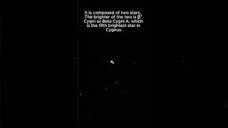 Beta Cygni  Albireo astrophotography astrophotos astrophoto [upl. by Martino]