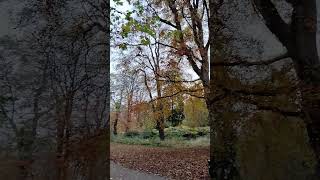 Herbstliches Rascheln im Park putbus nature autumn herbst [upl. by Nielson]