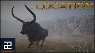 Assassins Creed Odyssey  The Kretan Bull  LEGENDARY Location [upl. by Koss942]