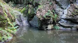 Cascata dellAquilonaccioParco di TuronaLago di Bolsena [upl. by Ranie]