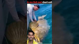 Pani ke andar Mili sabse chamak aane wali chijen fish dangerous sankar facts shorts trending [upl. by Akel]