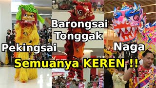 Mengenal Pekingsai Barongsai  dan Naga  Imlek 2023 di MargoCity Depok [upl. by Ayekin]