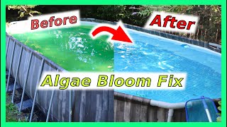 Pool Algae Bloom Fix [upl. by Amaras]