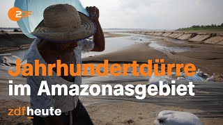 Regenwald ohne Regen Angst um das Amazonasgebiet  auslandsjournal [upl. by Yardna282]