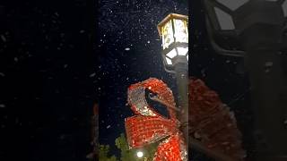 SNOWING IN CALIFORNIA❄️HAPPY HOLIDAYS 🎄 СНЕГОПАД В КАЛИФОРНИИ [upl. by Sitnik]