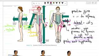 Anatomie 1ere année médecine COURS 1 introduction سنة أولى طب [upl. by Icak]