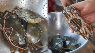 কাঁকড়া কাটার সহজ পদ্ধতি  easy way to cut crab [upl. by Anitram168]