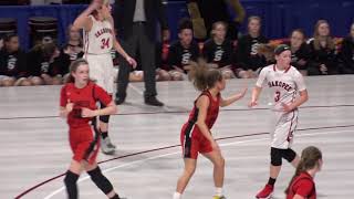 Girls Basketball highlights Shakopee vs Stillwater  Class AAAA quarterfinal [upl. by Honna]