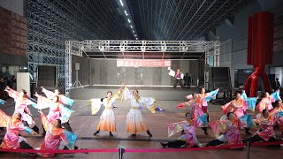 【佛教大学よさこいサークル紫踊屋】龍馬よさこい2024 1110日）JR京都駅 室町小路広場会場 [upl. by Magnum]