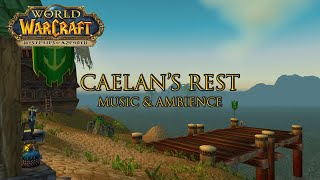 Caelans Rest music amp ambience  Turtle WoW Vanilla [upl. by Nyved465]