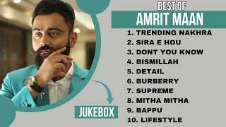 Top 10 Best Song Of Amrit Maan  Amrit Maan New Songs  Amrit Maan Jukebox 2024  MY LOFI [upl. by Can]