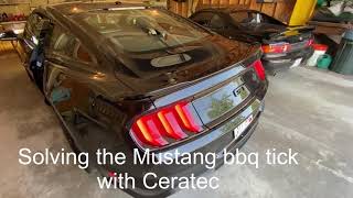 Mustang BBQ tick solved Ceratec No monologues [upl. by Viva135]