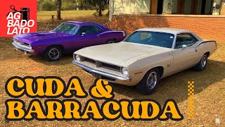 CUDA amp BARRACUDA 1970  A HISTORIA E AS DIFERENÇAS DOS DOIS CARROS [upl. by Yemorej]