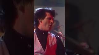 Spandau Ballet  Nature Of The Beast Rockpop In Concert 1984 spandauballet rockpopinconcert [upl. by Audrye513]