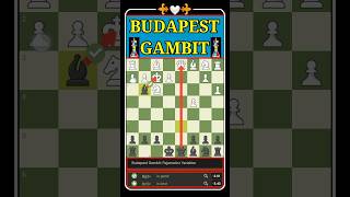 Budapest Gambit Fajarowich Variation 🌟🌟 shorts chess [upl. by Rubliw131]