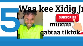 Maxaad kataqaana wiilka Tiktok ukala kacsantahay maalmahaan Xidig jr👍🤔 [upl. by Eidnarb]