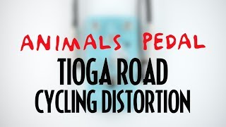 Animals Pedal Tioga Road Cycling Distortion [upl. by Asreht]