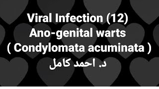 12 Anogenital warts  Condylomata acuminata  👉Viral Infection by Dr Ahmed Kamel [upl. by Iyre]